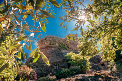 Agrandir l'image 3 sur 4, fenêtre modale