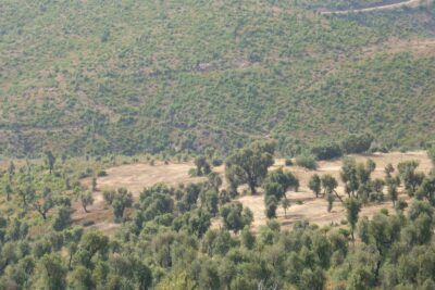 Agrandir l'image 1 sur 4, fenêtre modale