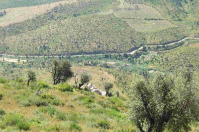 Agrandir l'image 2 sur 4, fenêtre modale