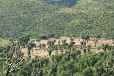 Agrandir l'image 1 sur 4, fenêtre modale