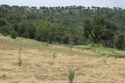 Agrandir l'image 3 sur 4, fenêtre modale