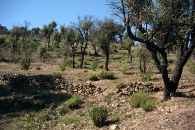 Agrandir l'image 1 sur 4, fenêtre modale