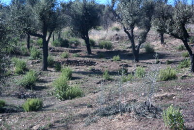 Agrandir l'image 2 sur 4, fenêtre modale