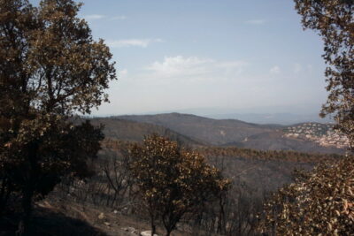 Agrandir l'image 2 sur 4, fenêtre modale