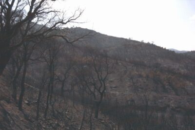 Agrandir l'image 3 sur 4, fenêtre modale