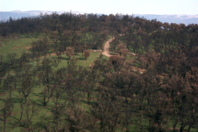 Agrandir l'image 3 sur 4, fenêtre modale