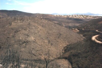 Agrandir l'image 4 sur 4, fenêtre modale