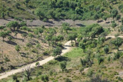 Agrandir l'image 4 sur 4, fenêtre modale