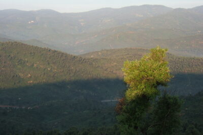 Agrandir l'image 4 sur 4, fenêtre modale