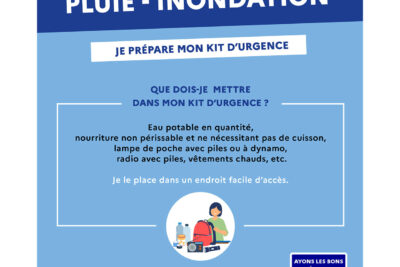 Agrandir l'image 4 sur 4, fenêtre modale