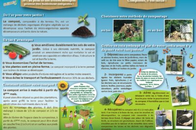 Agrandir l'image 4 sur 4, fenêtre modale