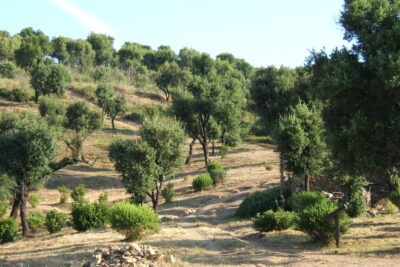 Agrandir l'image 3 sur 4, fenêtre modale