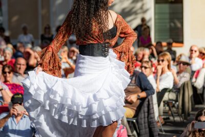 Agrandir l'image 3 sur 8, fenêtre modale