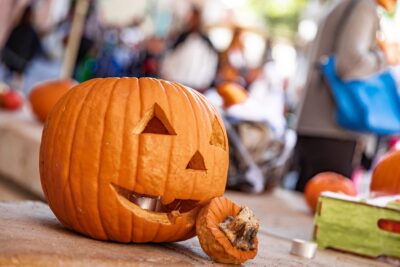 Agrandir l'image 4 sur 22, fenêtre modale