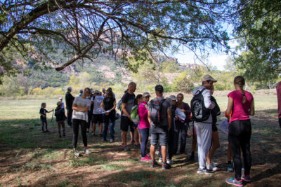 Agrandir l'image 7 sur 14, fenêtre modale