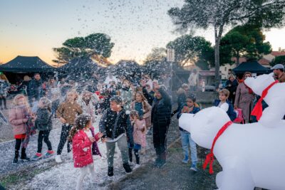 Agrandir l'image 20 sur 72, fenêtre modale