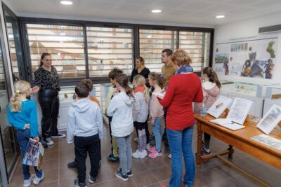 Agrandir l'image 3 sur 6, fenêtre modale