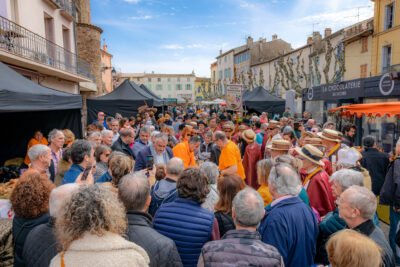 Agrandir l'image 11 sur 23, fenêtre modale