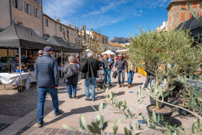 Agrandir l'image 1 sur 35, fenêtre modale