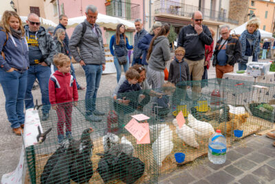 Agrandir l'image 19 sur 35, fenêtre modale