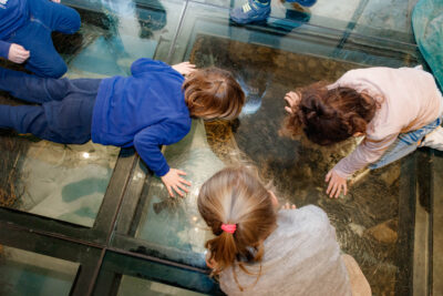 Agrandir l'image 5 sur 10, fenêtre modale