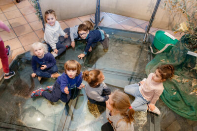 Agrandir l'image 6 sur 10, fenêtre modale