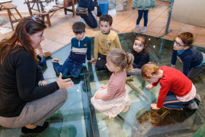 Agrandir l'image 7 sur 10, fenêtre modale