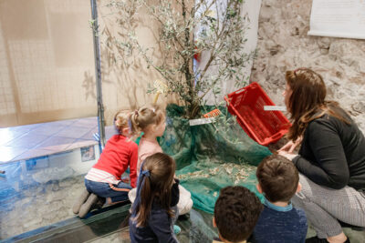 Agrandir l'image 9 sur 10, fenêtre modale