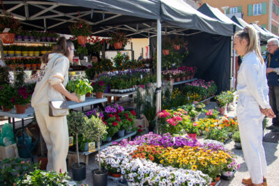 Agrandir l'image 9 sur 15, fenêtre modale