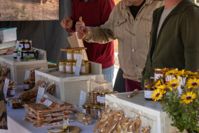 Agrandir l'image 7 sur 15, fenêtre modale