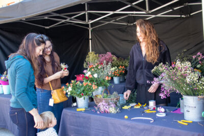 Agrandir l'image 12 sur 15, fenêtre modale