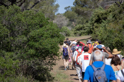 Agrandir l'image 2 sur 21, fenêtre modale