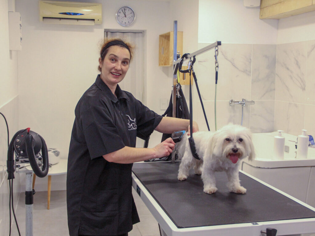 Agrandir l'image, fenêtre modale