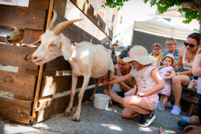 Agrandir l'image 1 sur 24, fenêtre modale