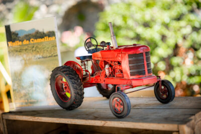 Agrandir l'image 16 sur 24, fenêtre modale