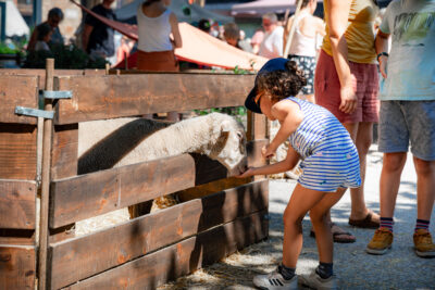 Agrandir l'image 6 sur 24, fenêtre modale