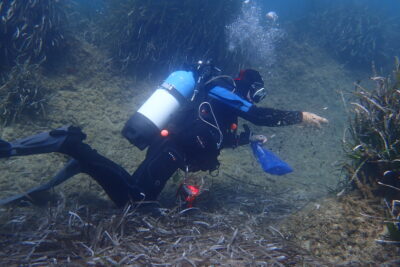 Agrandir l'image 3 sur 21, fenêtre modale