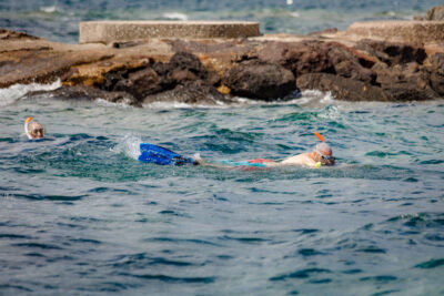 Agrandir l'image 8 sur 21, fenêtre modale