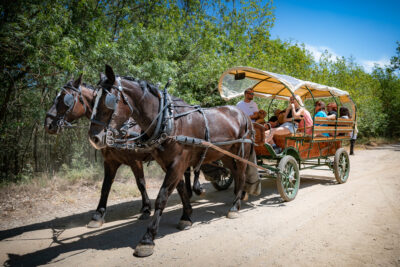 Agrandir l'image 4 sur 6, fenêtre modale