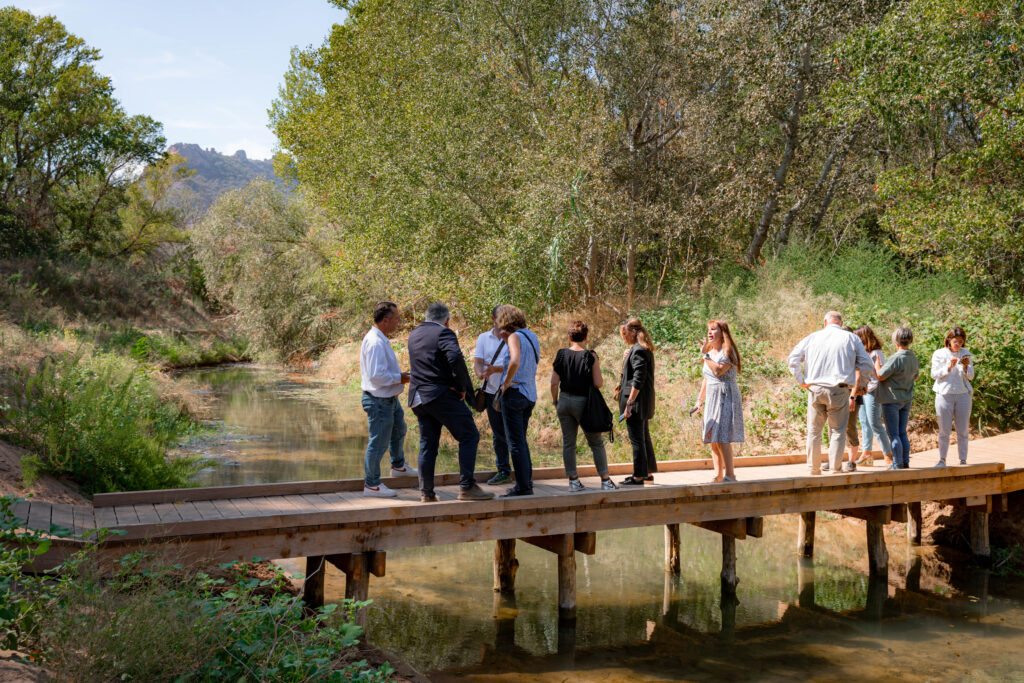 Agrandir l'image, fenêtre modale