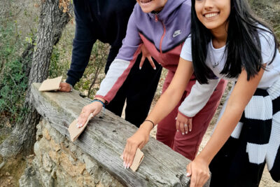 Agrandir l'image 5 sur 6, fenêtre modale