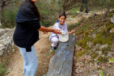 Agrandir l'image 6 sur 6, fenêtre modale