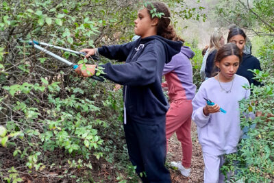 Agrandir l'image 4 sur 6, fenêtre modale