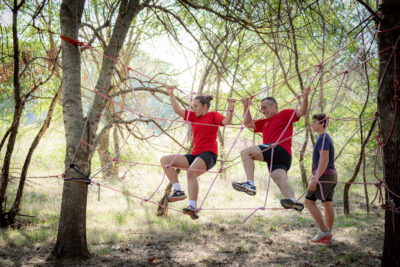 Agrandir l'image 10 sur 15, fenêtre modale