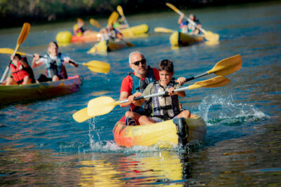 Agrandir l'image 8 sur 15, fenêtre modale