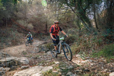 Agrandir l'image 11 sur 15, fenêtre modale