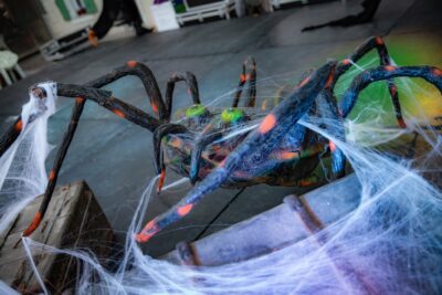 Agrandir l'image 26 sur 26, fenêtre modale