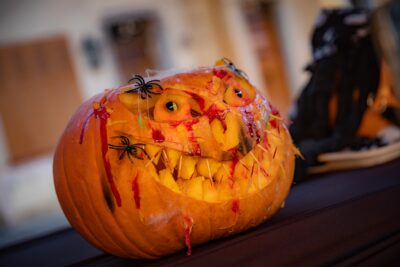 Agrandir l'image 10 sur 26, fenêtre modale