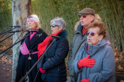 Agrandir l'image 6 sur 7, fenêtre modale