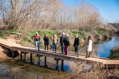 Agrandir l'image 1 sur 6, fenêtre modale